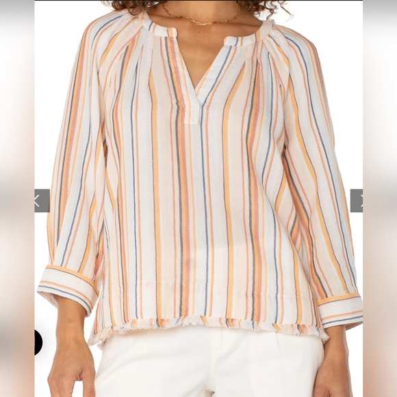 Liverpool Tops - Liverpool Multicolor Striped V-Neck Blouse